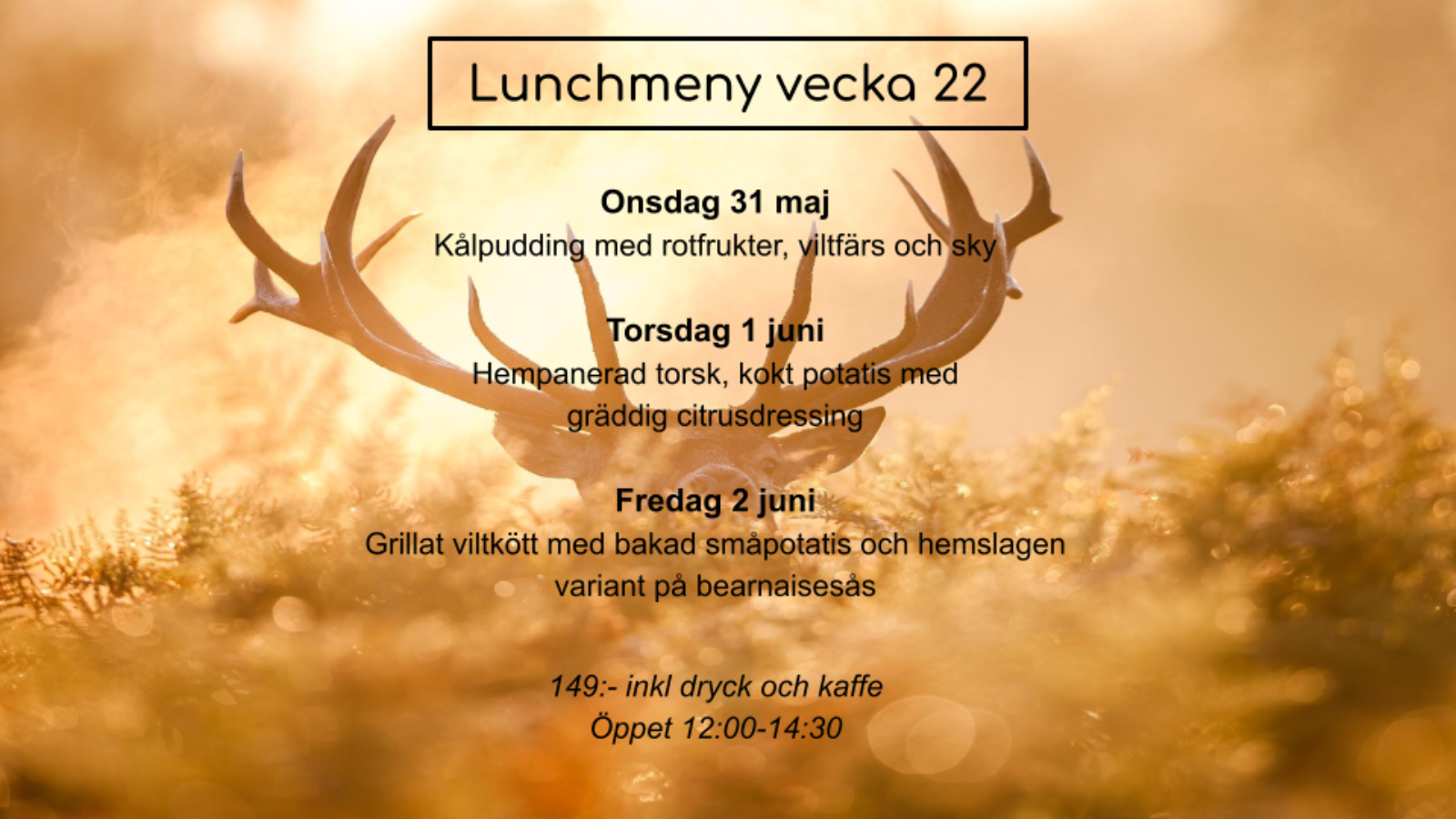 Lunchmeny v22